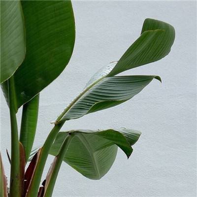 澳门正版资料大全截图