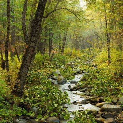 新天地棋牌下载手机版