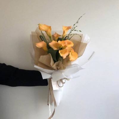 尊龙人生就是博登录截图