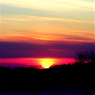 买电竞比赛输赢的app