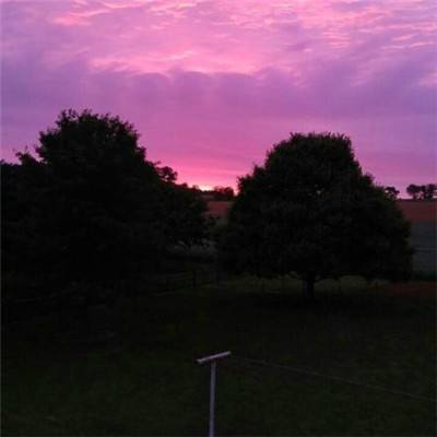 澳门正版资料大全