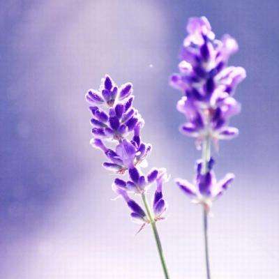 新天地棋牌下载手机版