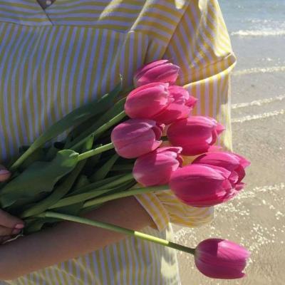 尊龙人生就是博登录